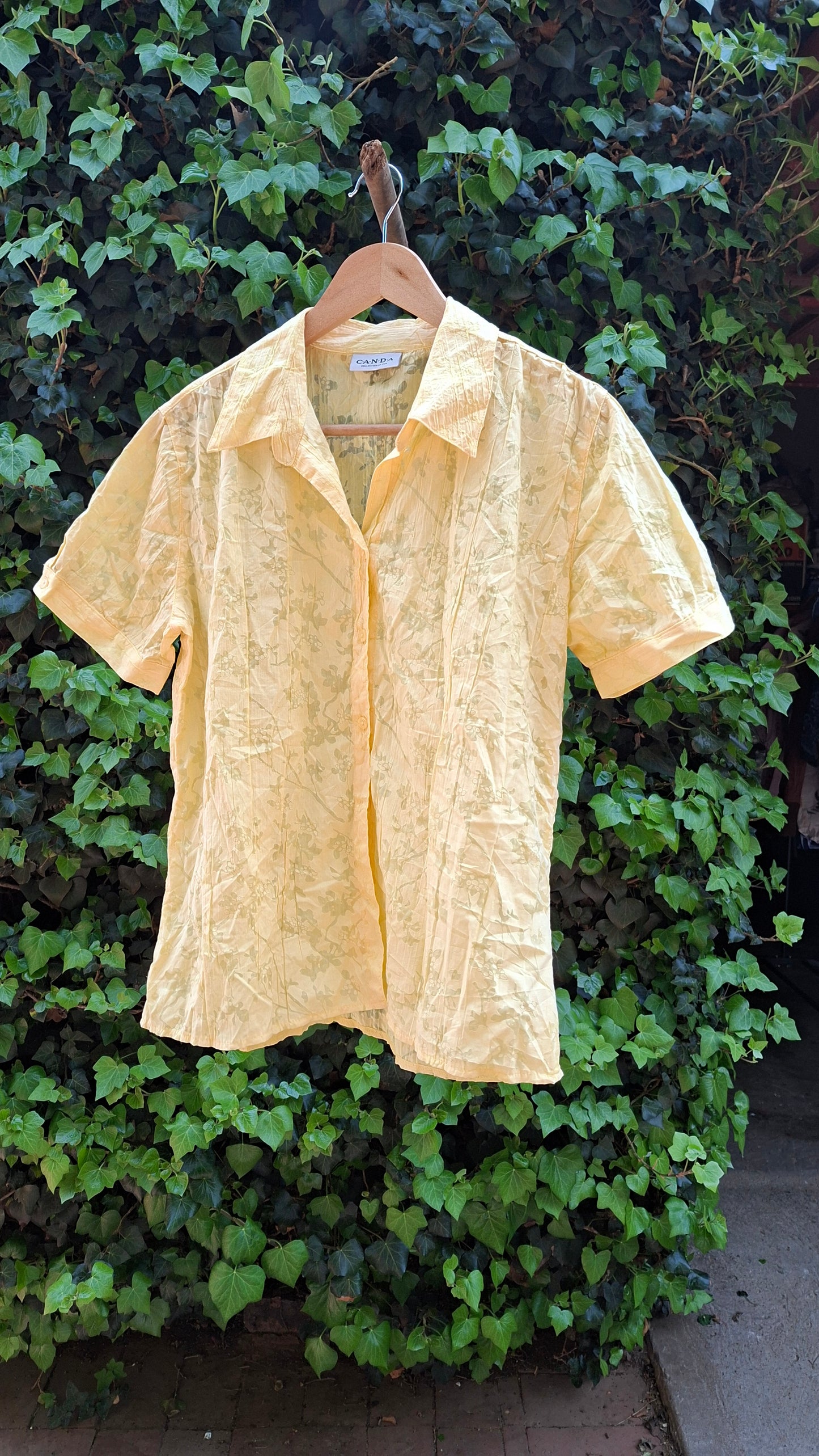 Canda Yellow Sheer Blouse