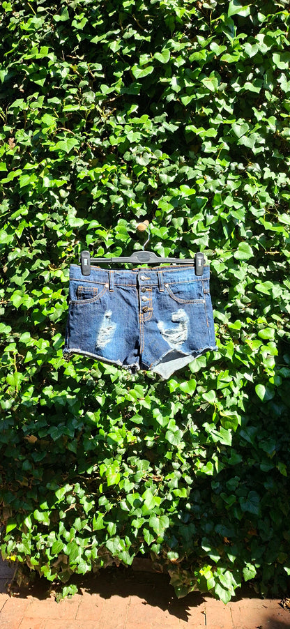 Dark Denim Wash Shorts