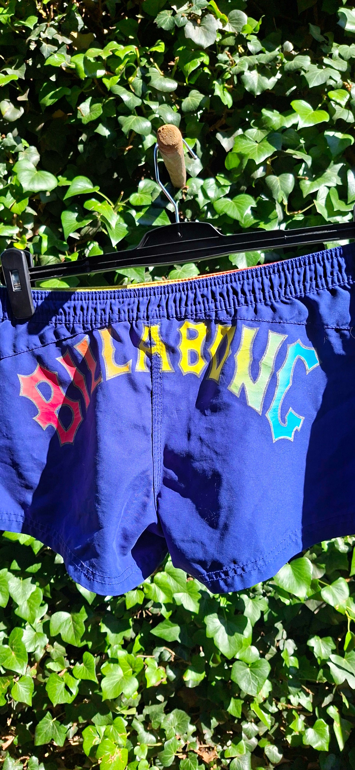 Billabong Swim Shorts