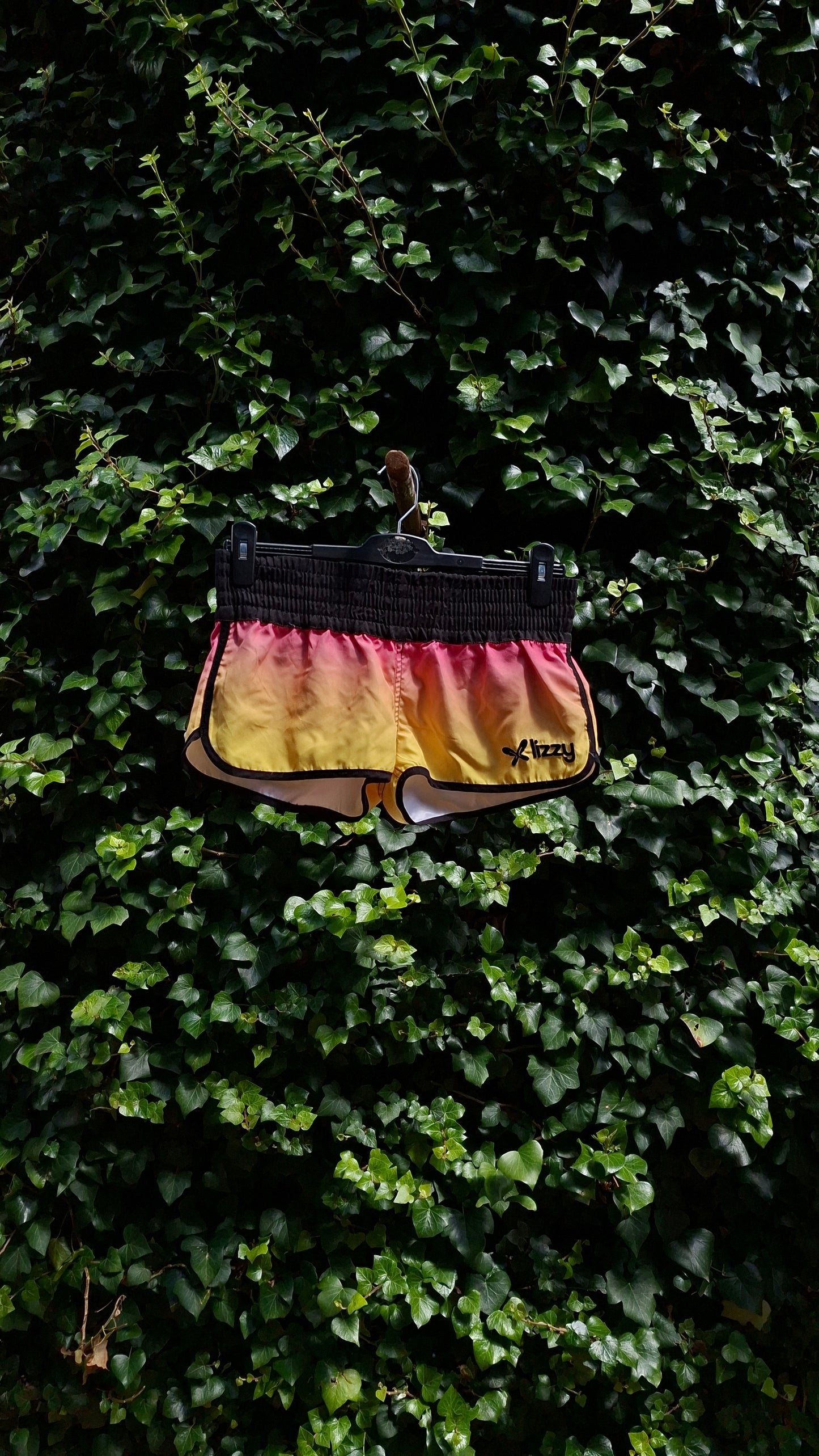 Lizzy Swim Shorts