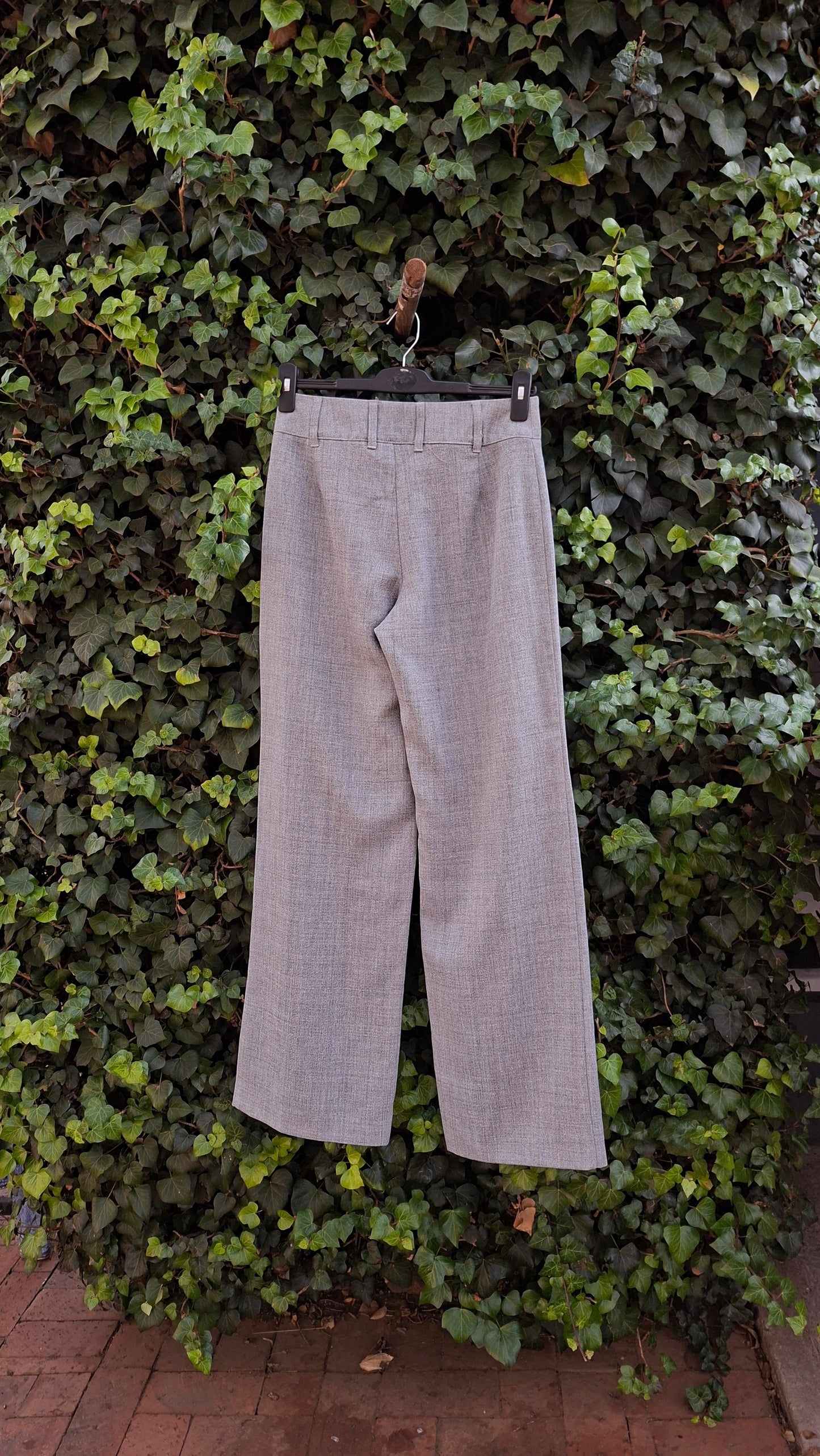 Grey Formal Pants