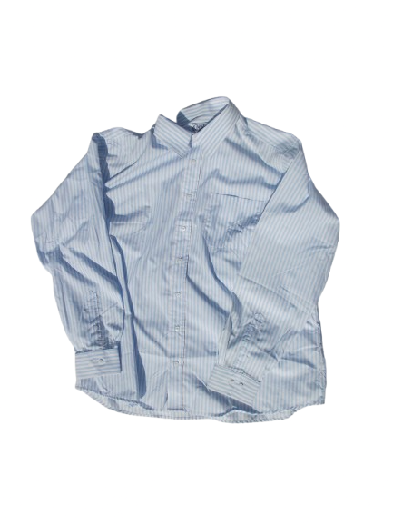 Chicer Blue & White Striped Shirt